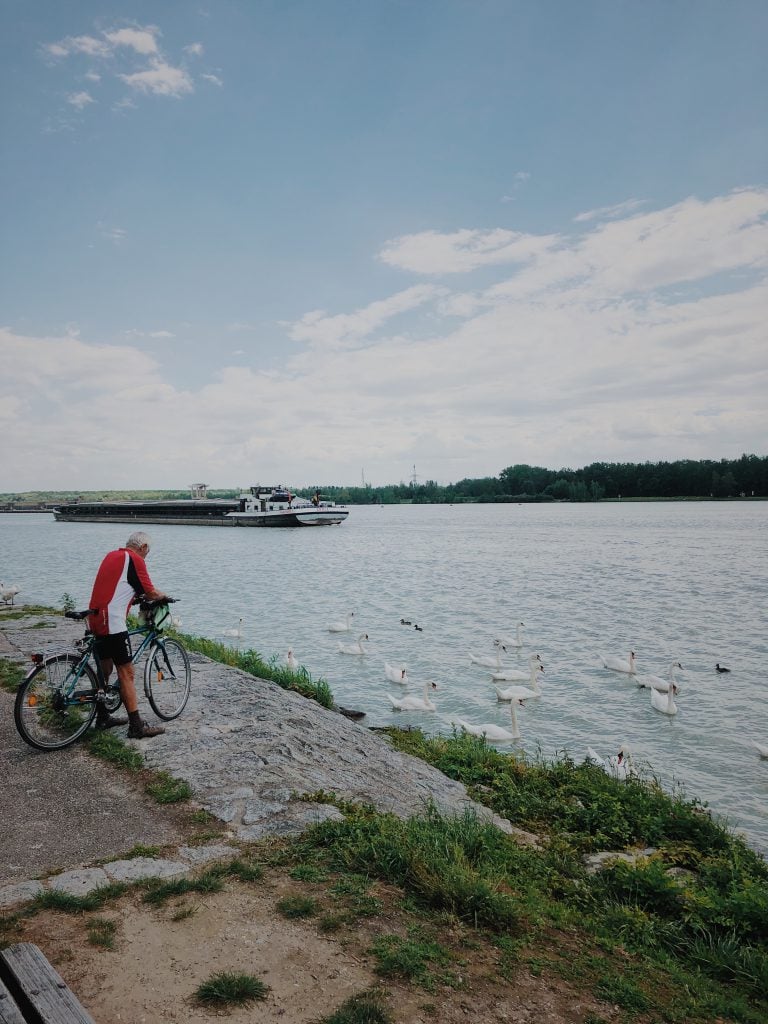 Fahrrad Donau